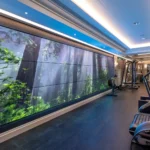 Spa George V